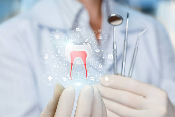 Reliable Olney, TX Holistic Dental Care Services Solutions